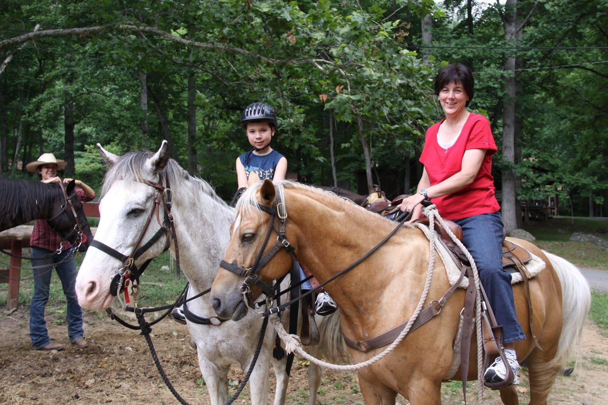 Pisgah View Ranch Hotel Candler Buitenkant foto